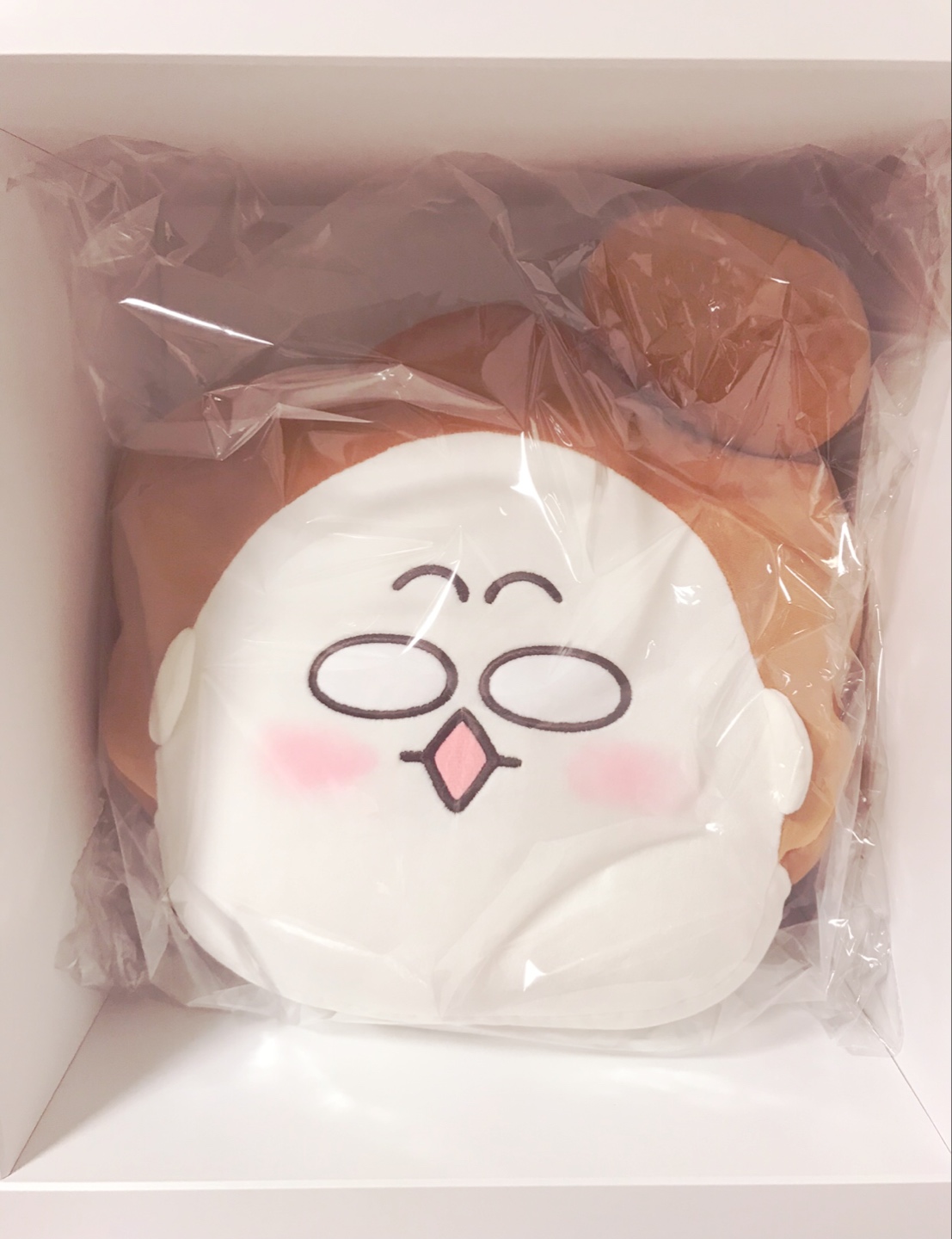 모찌 바쉬