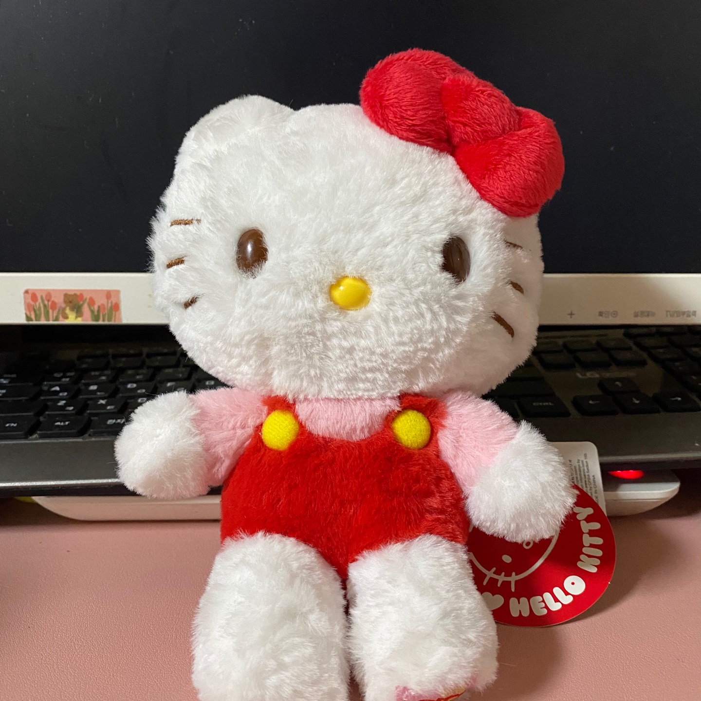뽀글이 헬로키티 