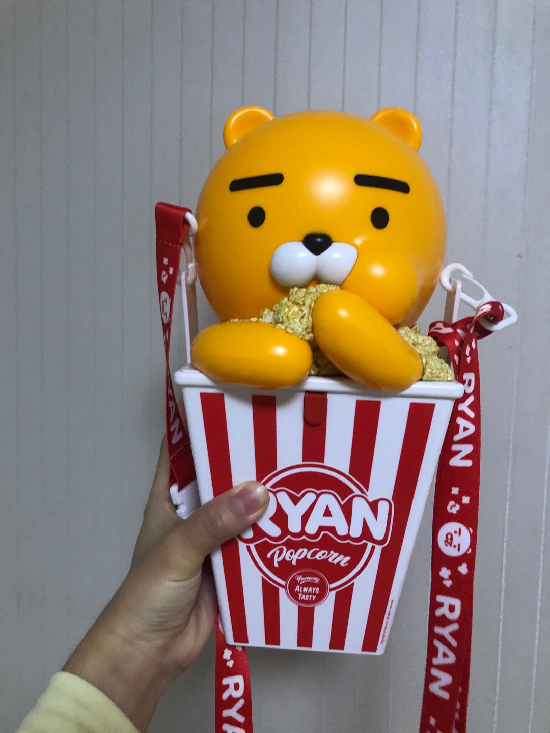 라이언 이름모르는 친구