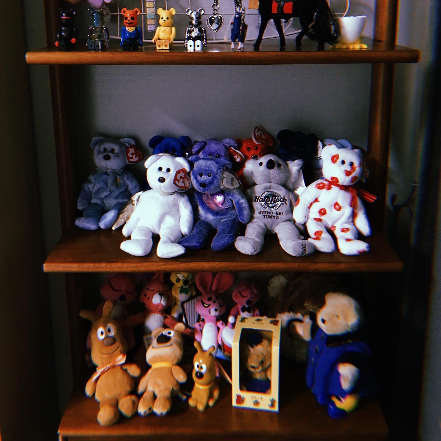🐕🧸🤎