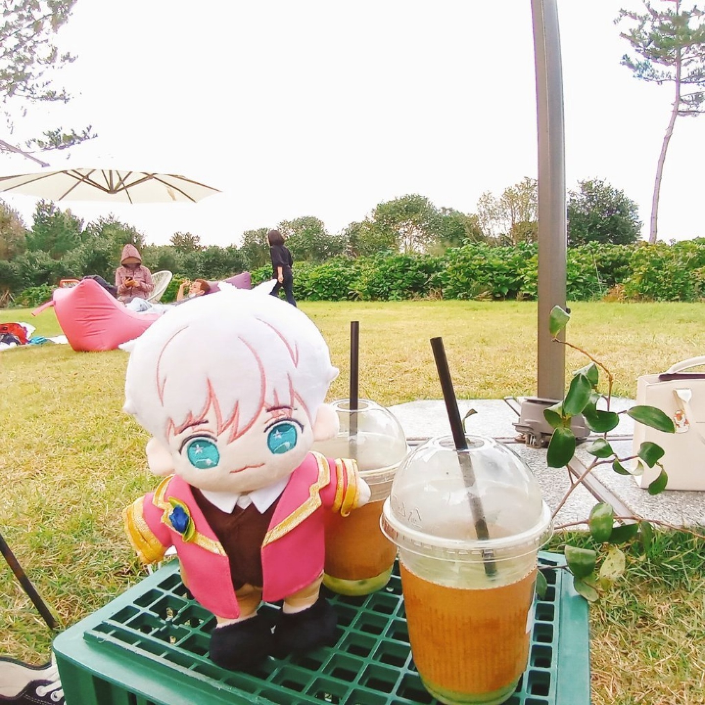 핑크뮬리 보러 다녀옴💞