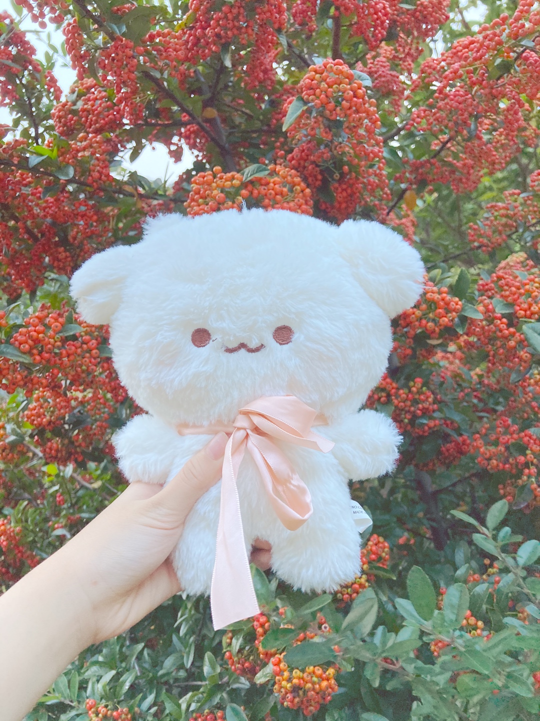 ฅ^•ﻌ•^ฅ 
