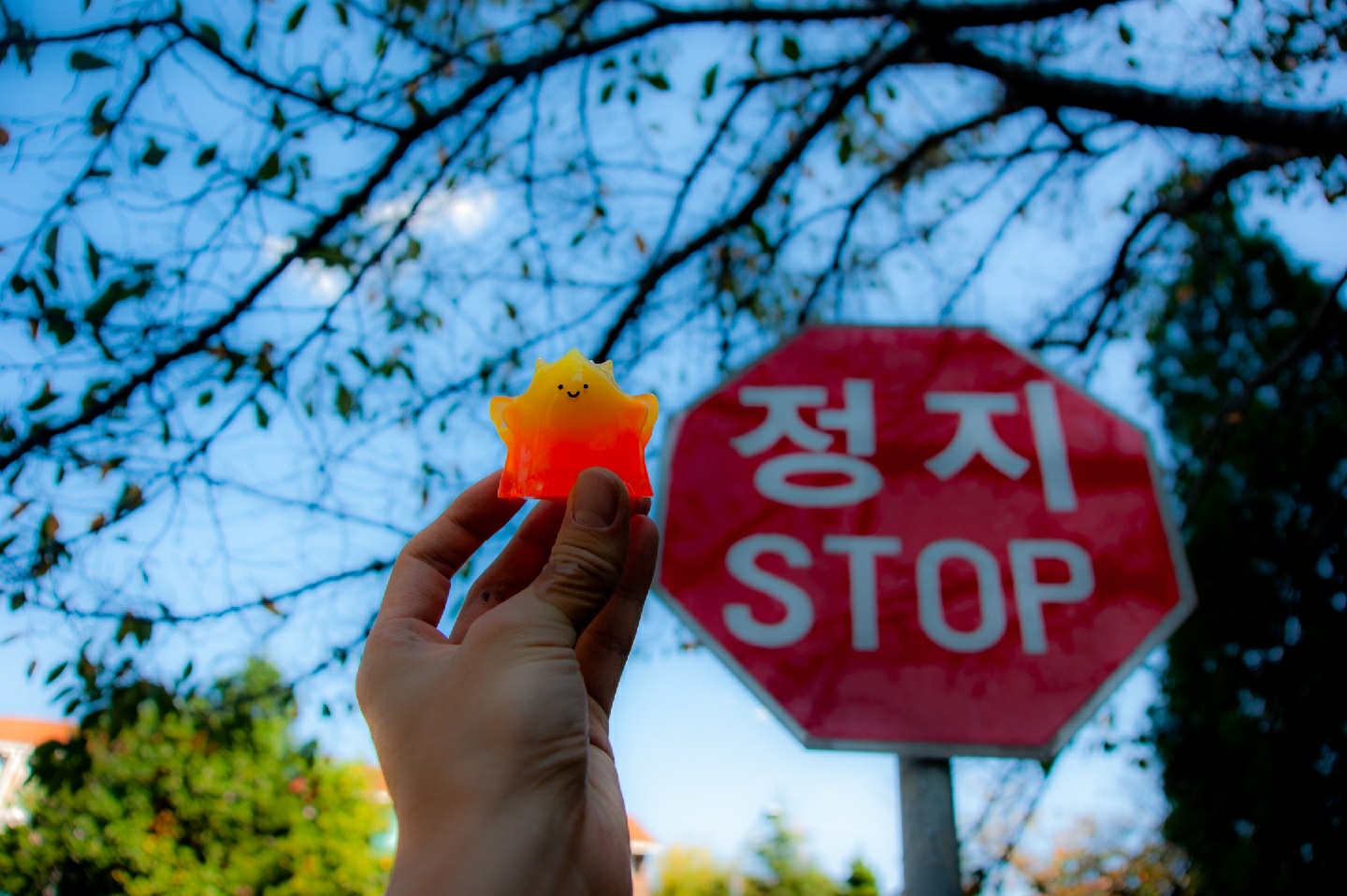 야외에서 유키랑 함께 놀자