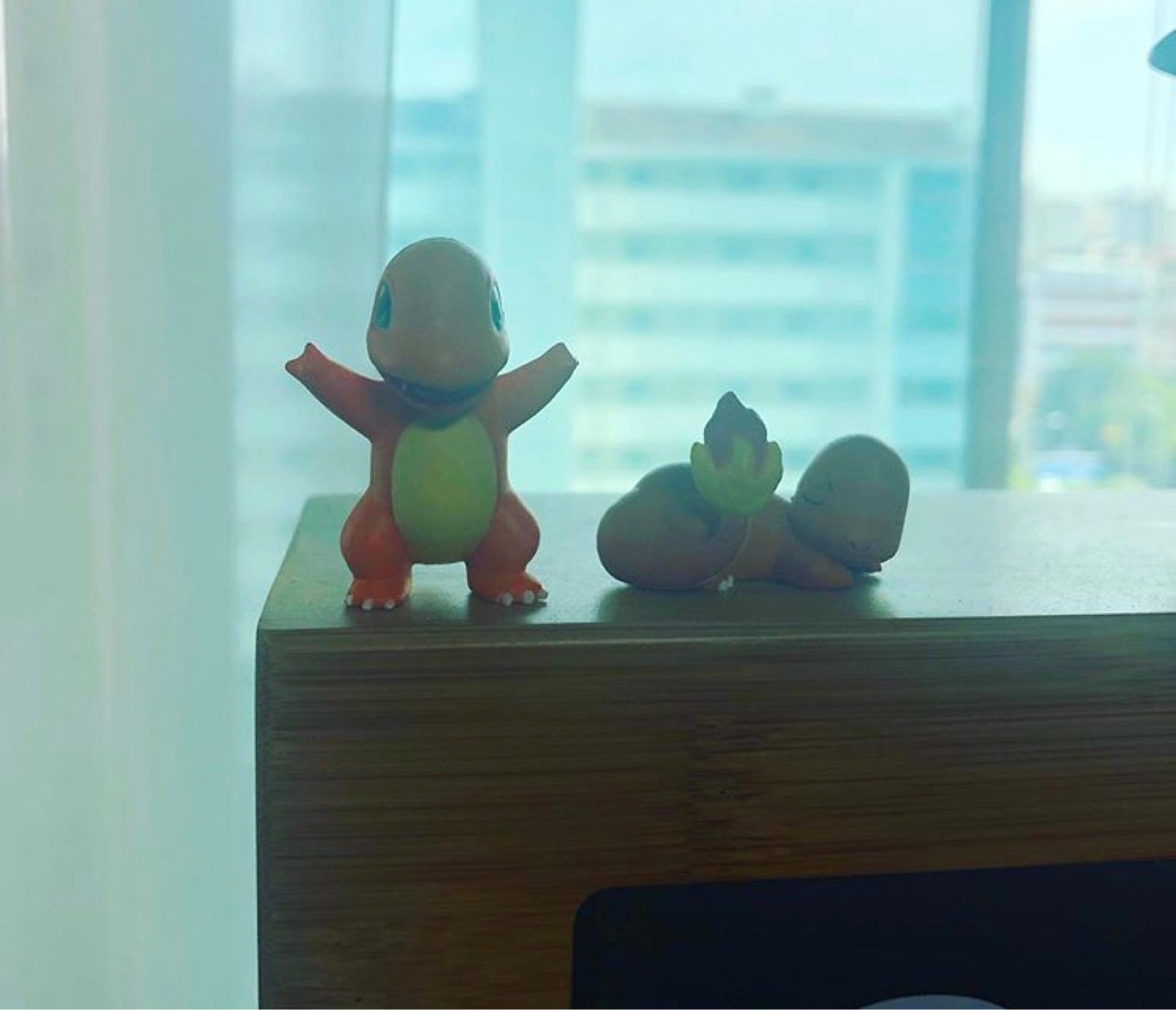 파일
파일