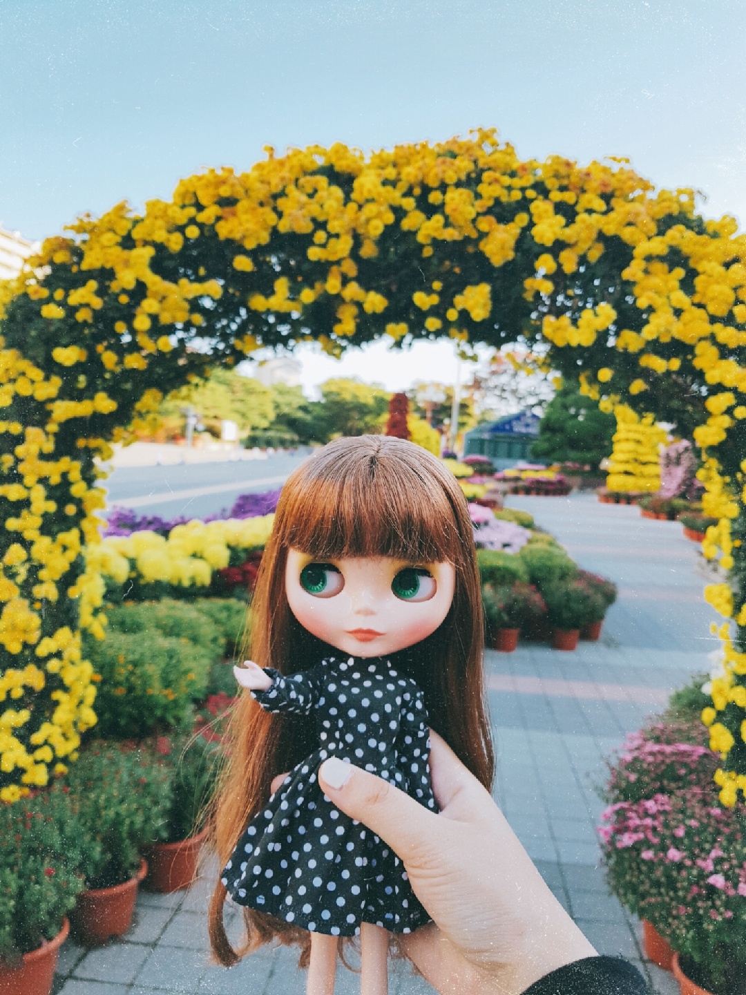 #블라이스