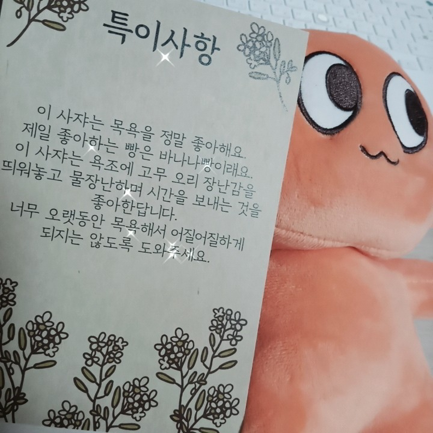 이 사쟈는 이제 이 집 아이에요😘