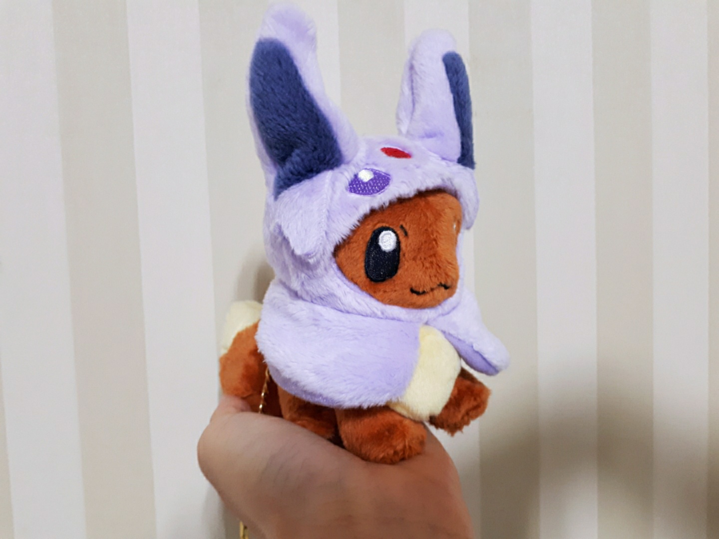 💜 내 손 위의 귀여움 💜