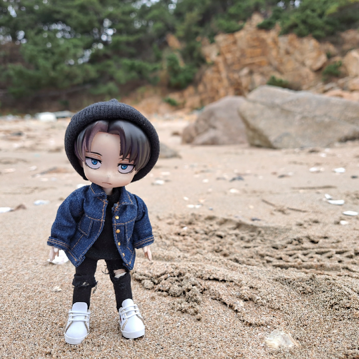 🏖🐚
