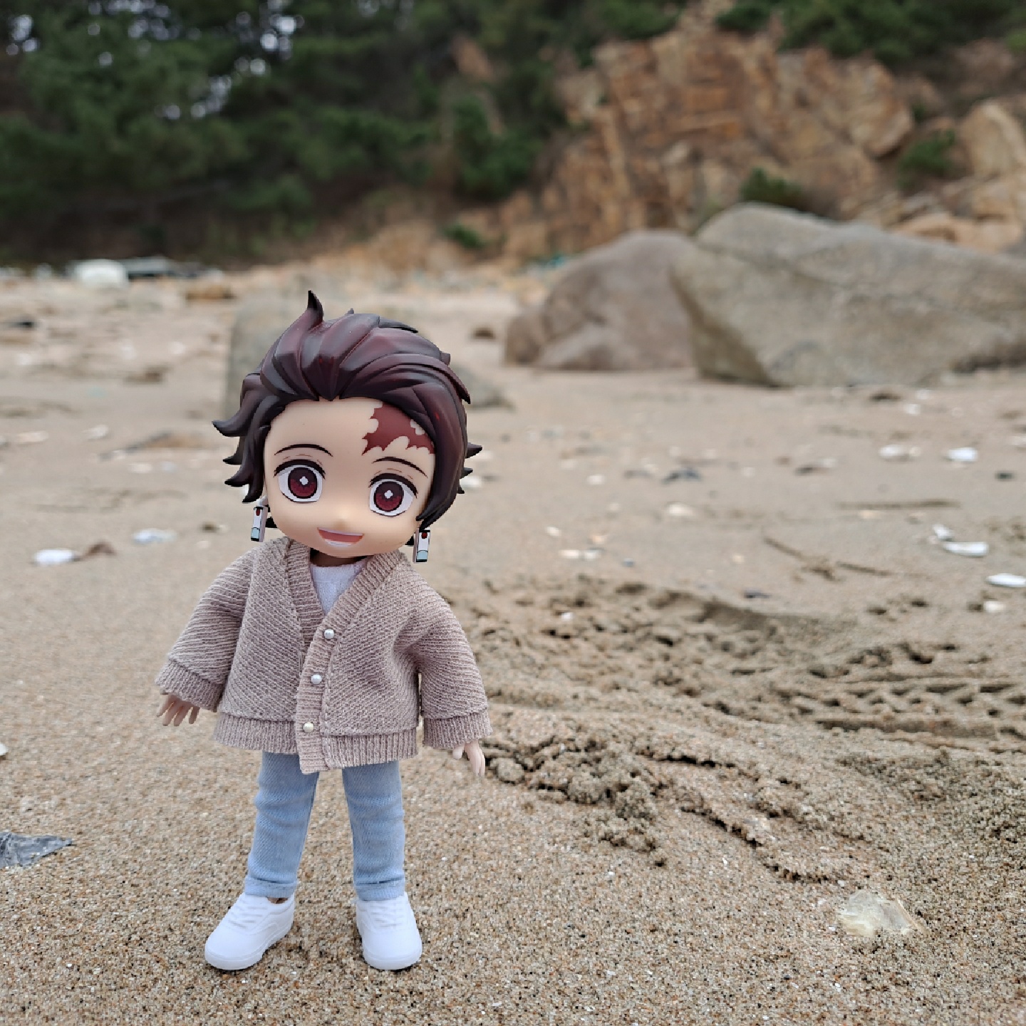 🏖🐚