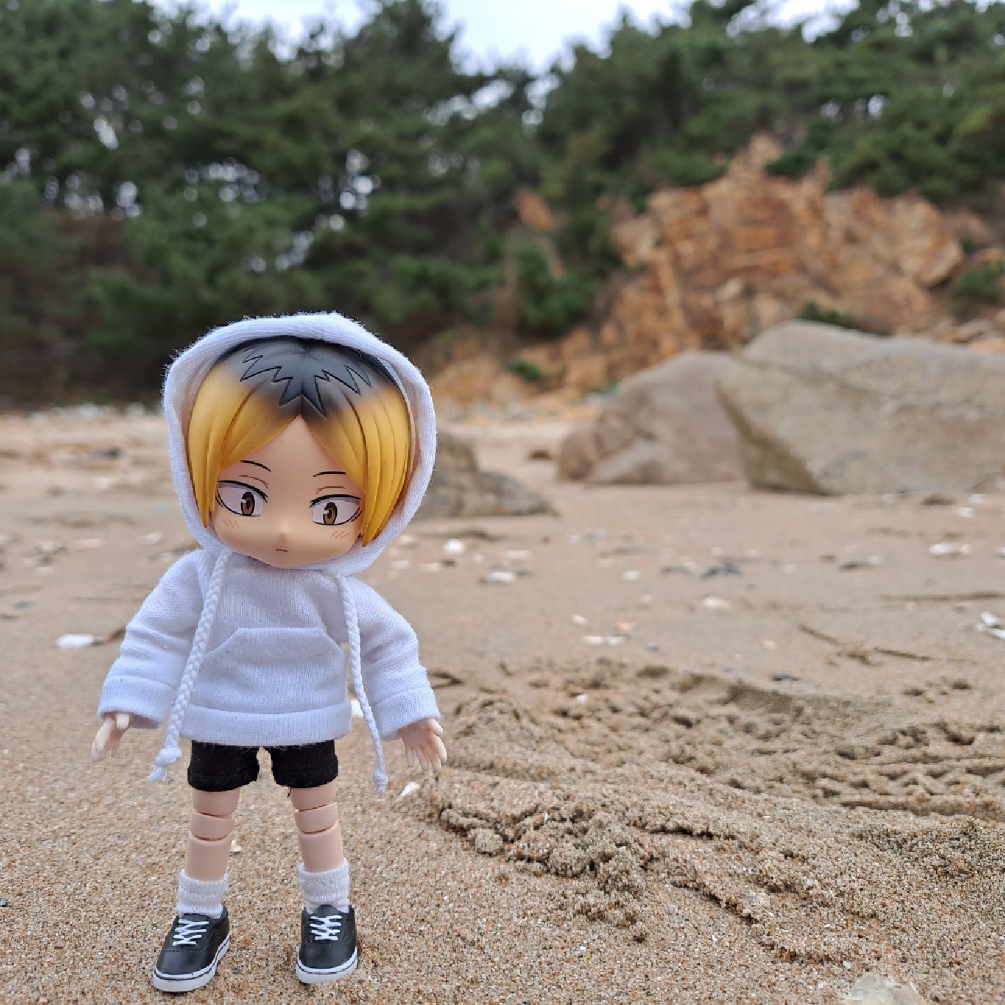 🏖🐚