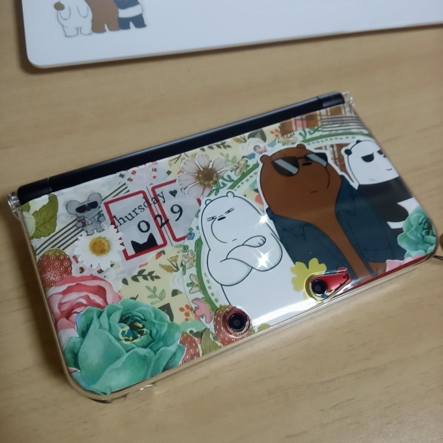 닌텐도 케이스