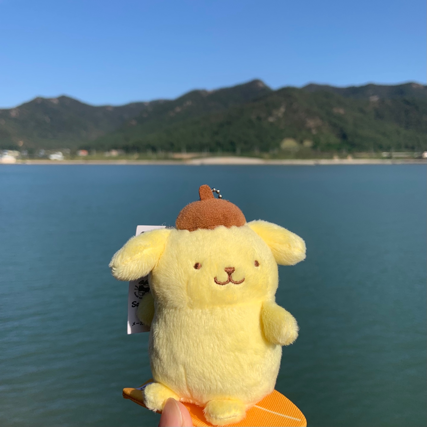 서핑하는 폼폼푸린
