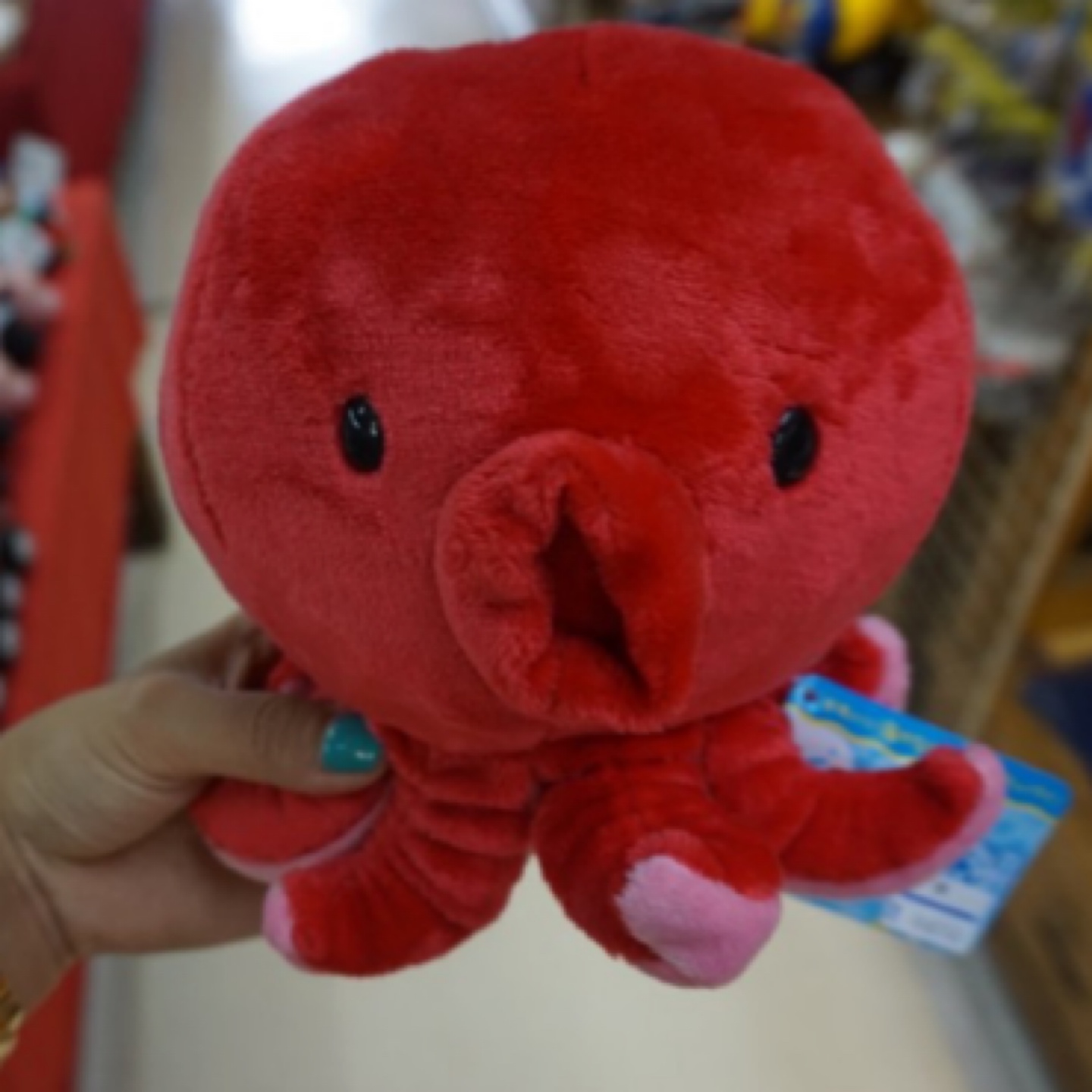 귀여운 문어