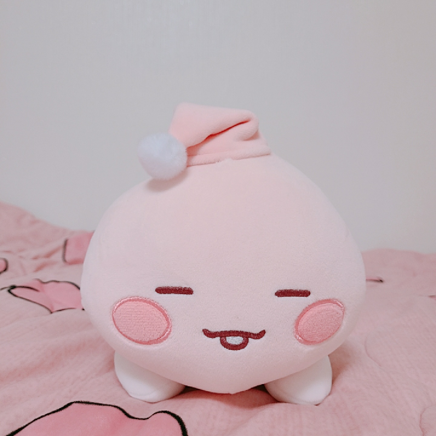 라이언이랑 어피치🍑