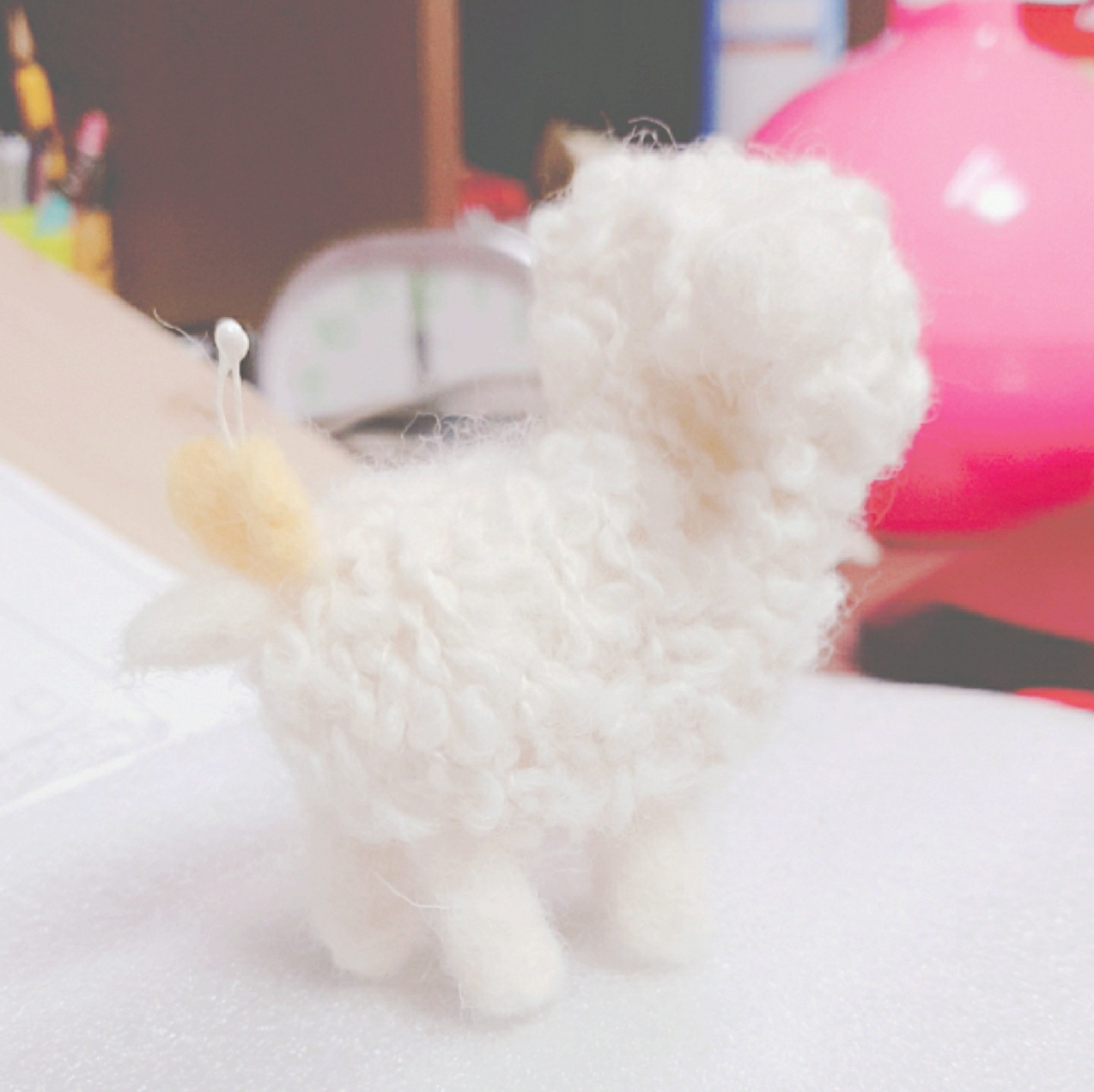 아기 양🐑