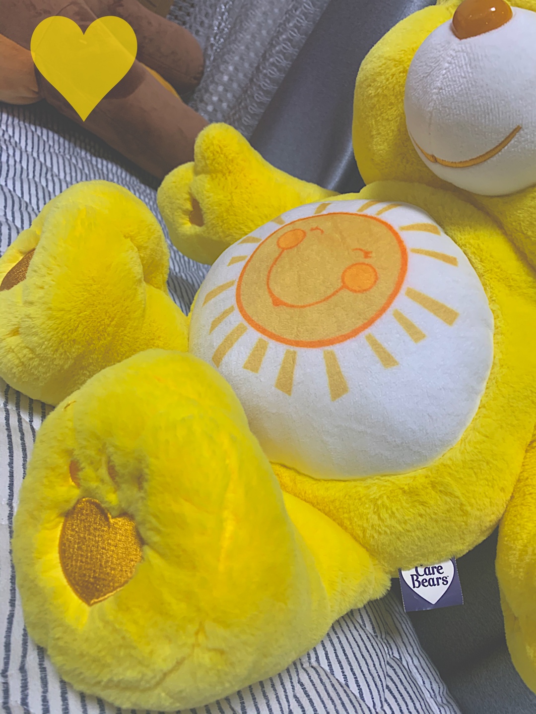 폭신폭신한게 보이는 케어베어 💛