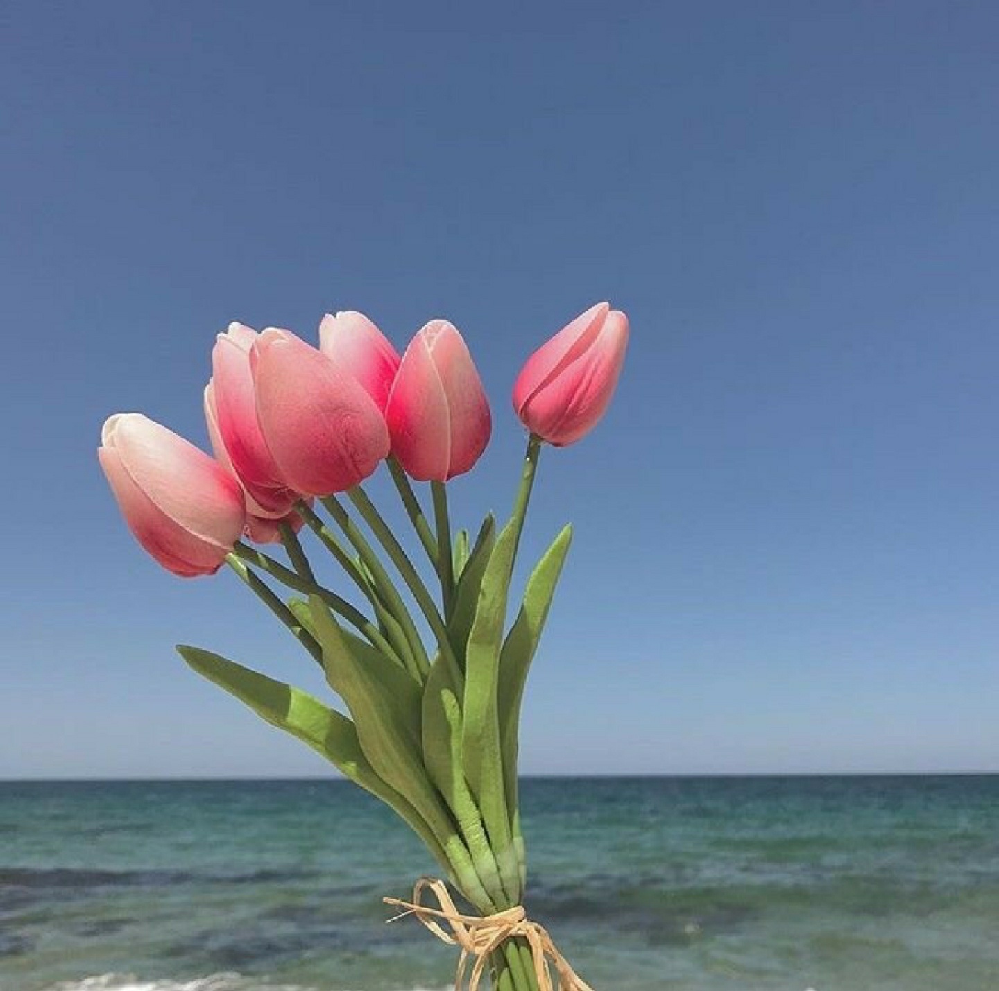 🌷🌷