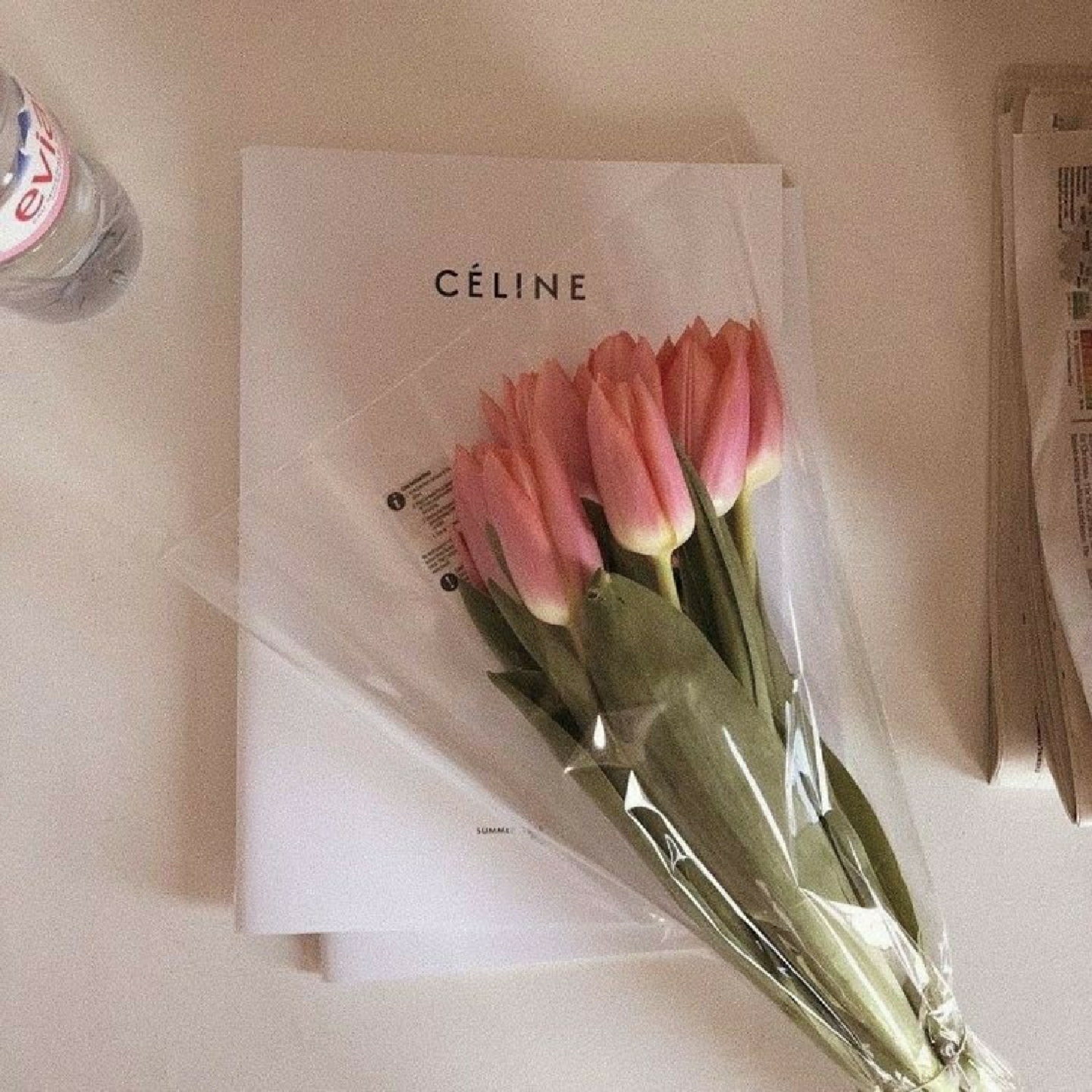 🌷🌷