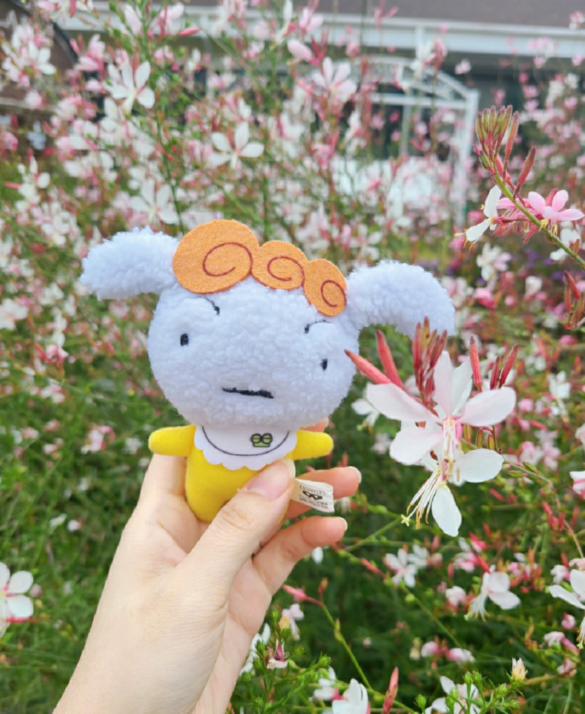 큐티뽀짝 짱둥이💭
