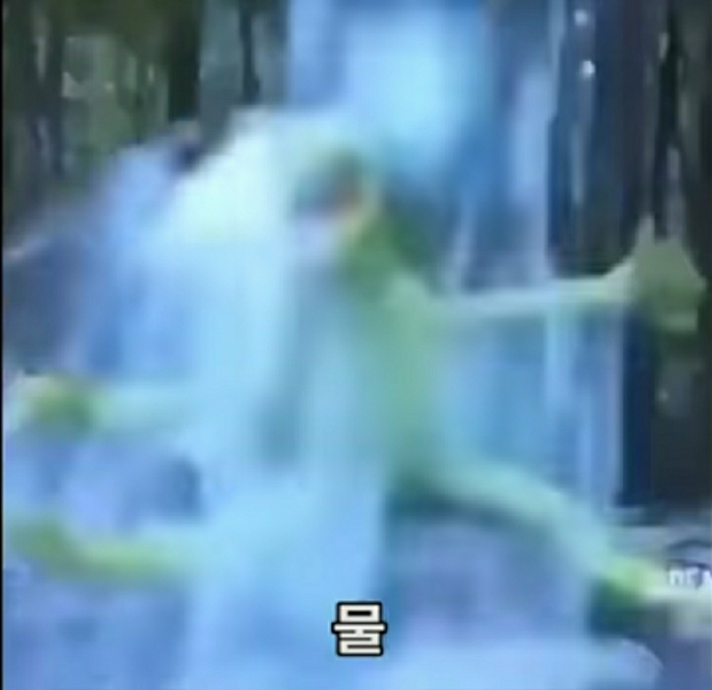 개인 공감:잠안깼을때 머리감는 겸 물뿌리는게
가장 효과적이라고 생각합니다.
