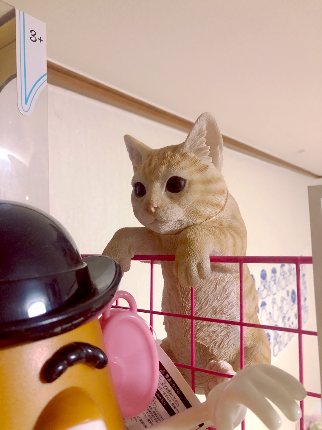 디즈니 오너먼트와 고양이