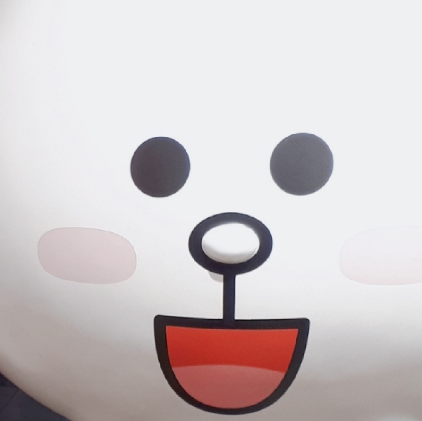 얼빡 코니