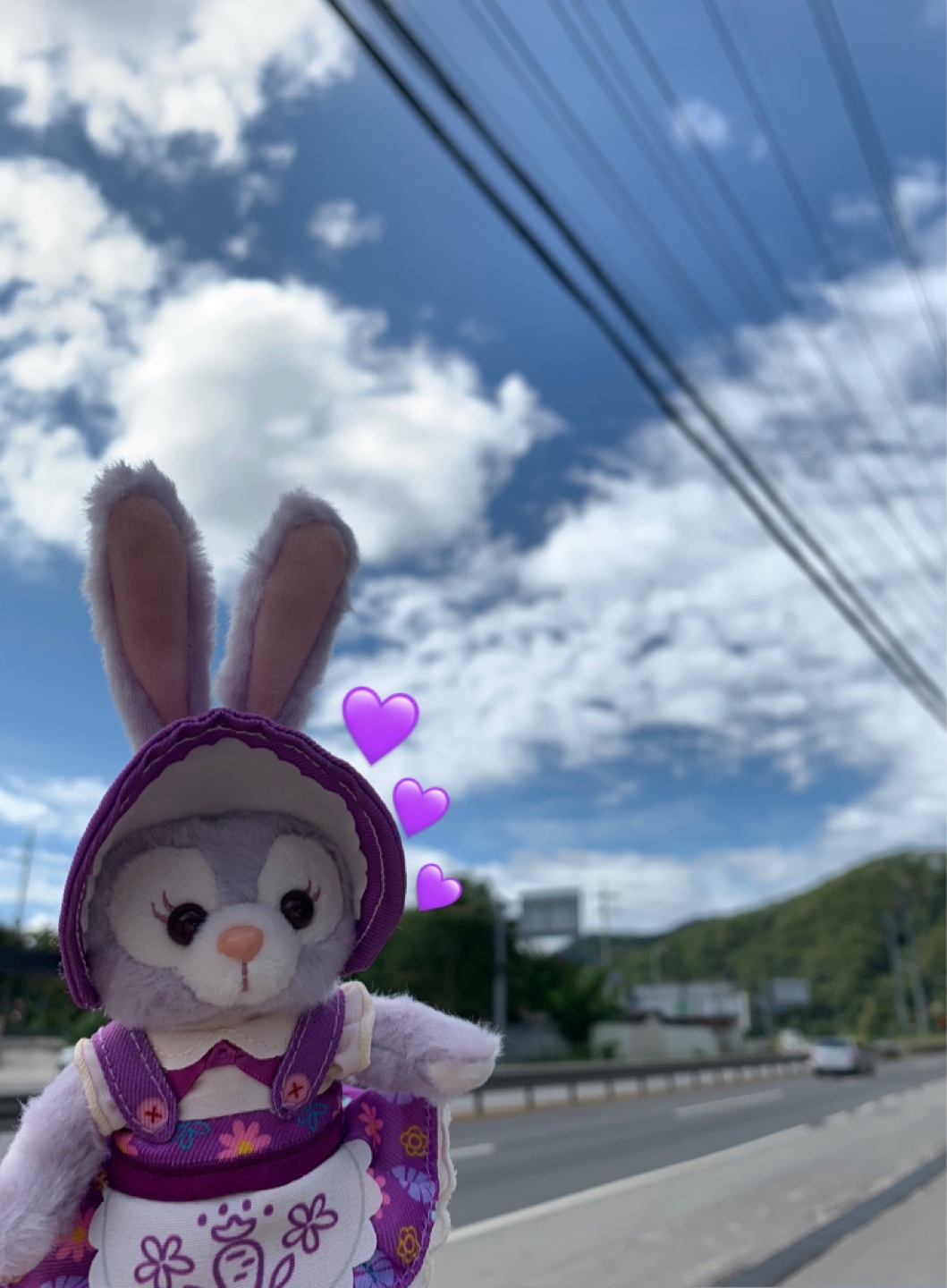 💜가을 스텔라루💜