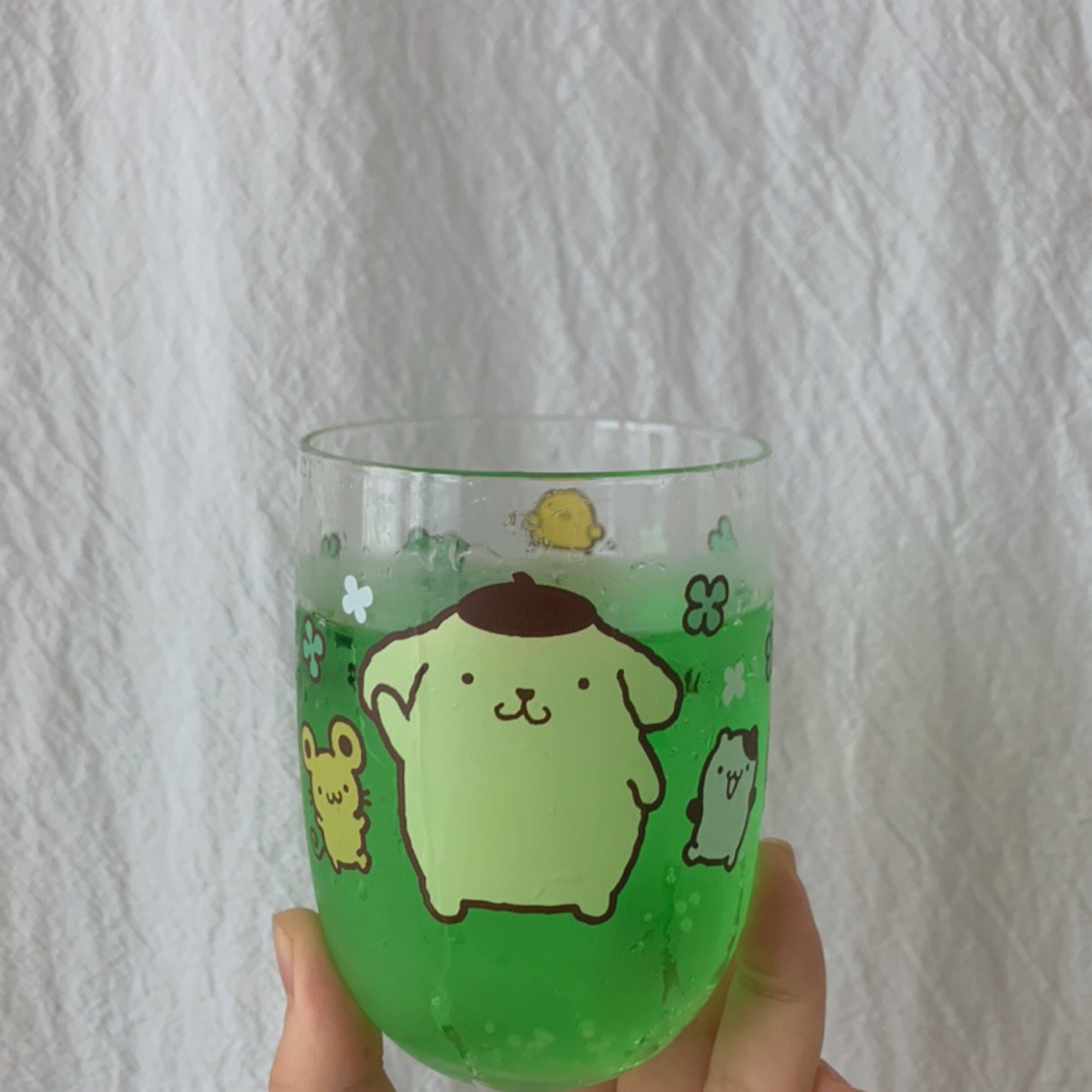 ✨ 포무포무 ✨
