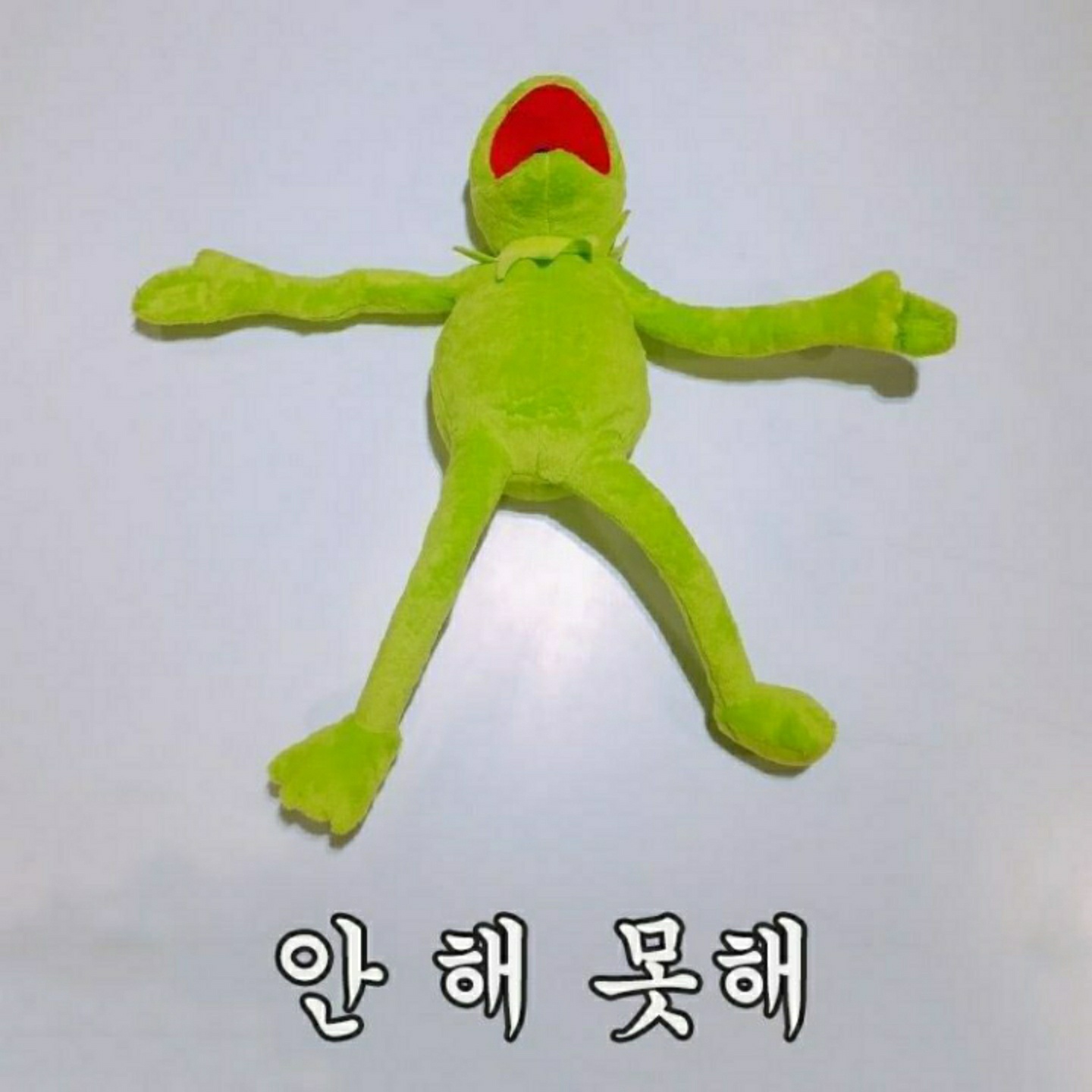 안 해 못해