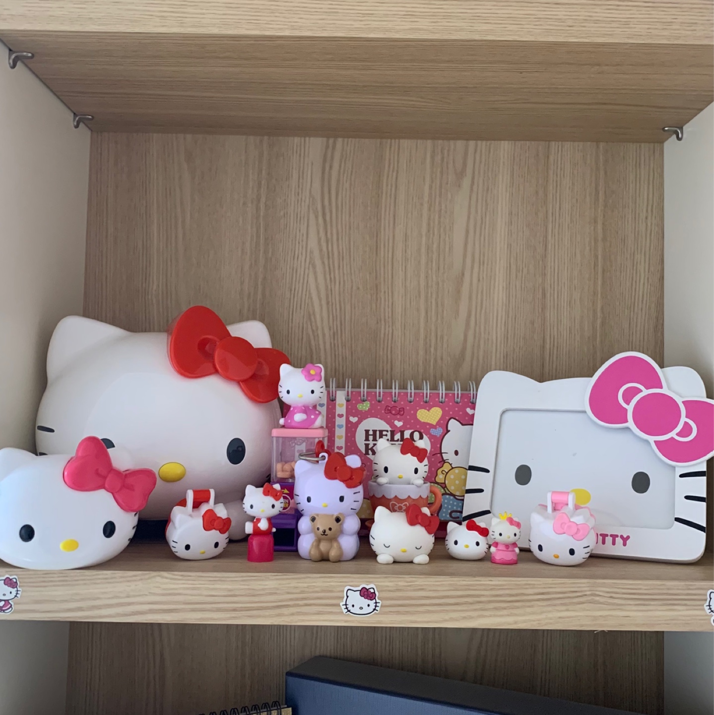 🎀🎀🎀🎀🎀