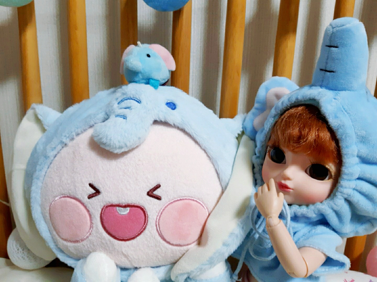 니니의 일상10