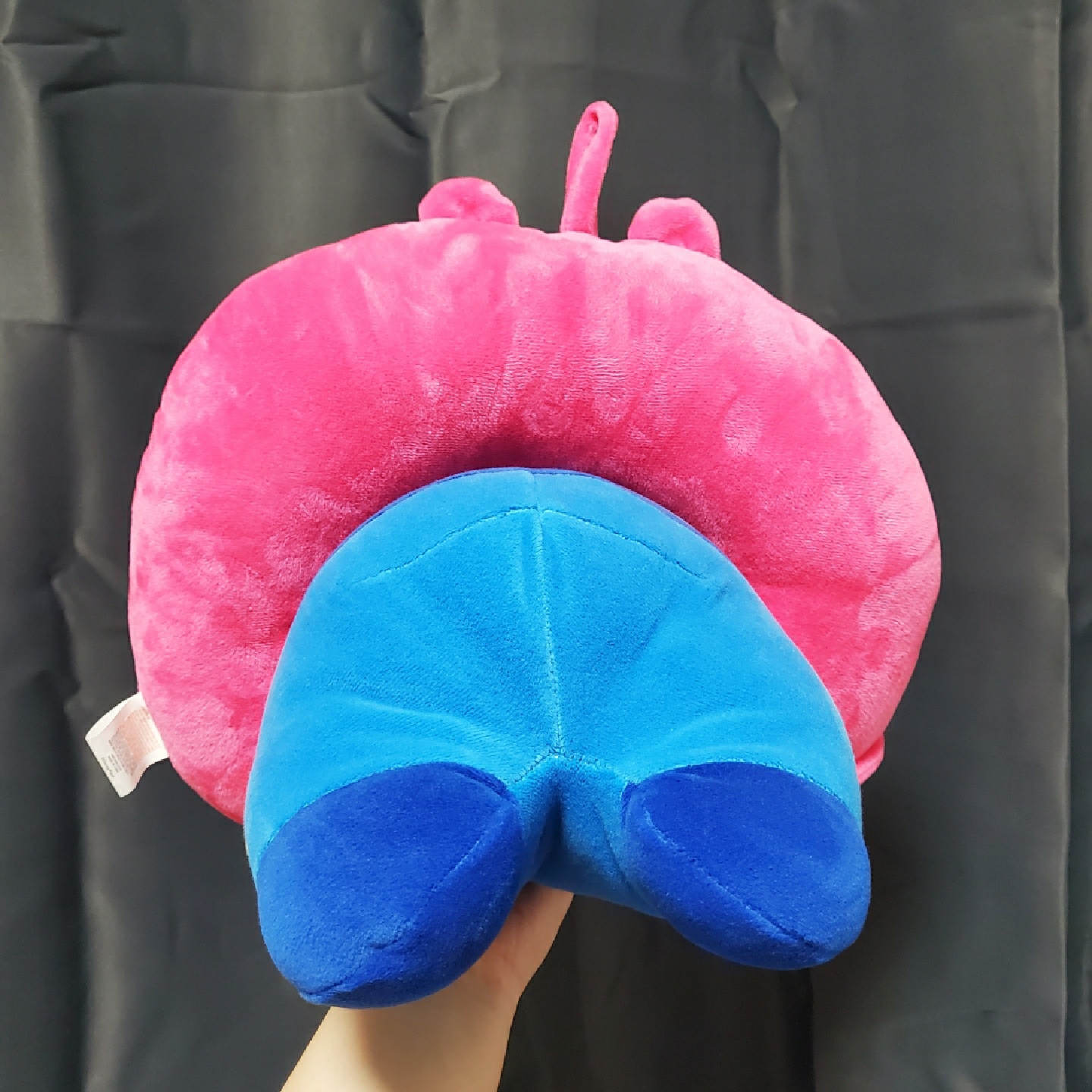 알린 랏소 합체!!!