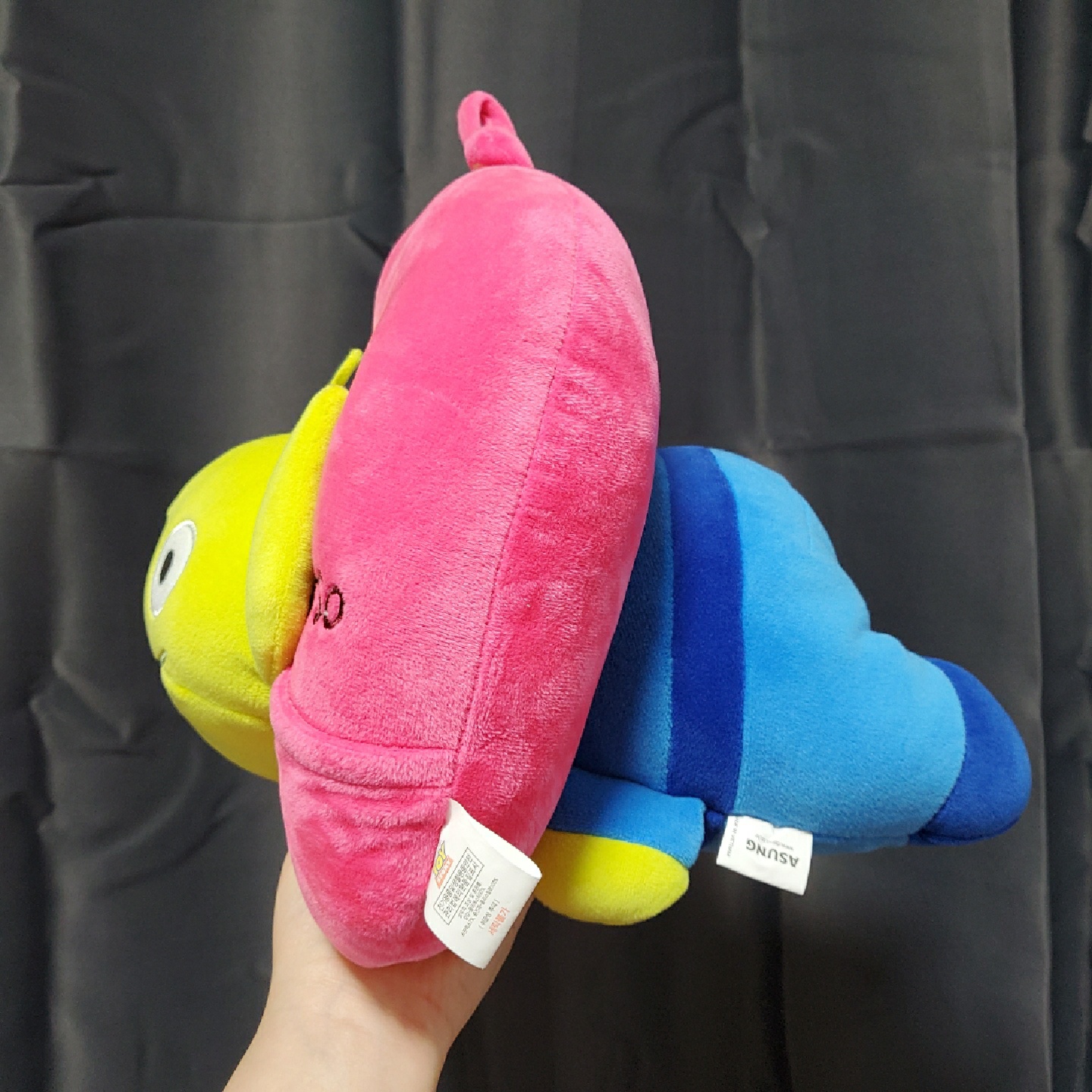 알린 랏소 합체!!!