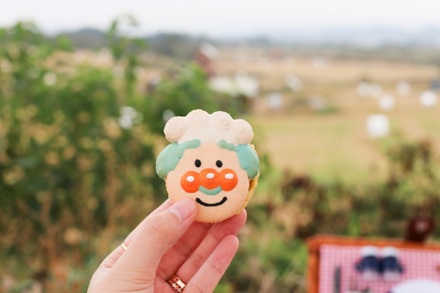 호빵맨과 피크닉
