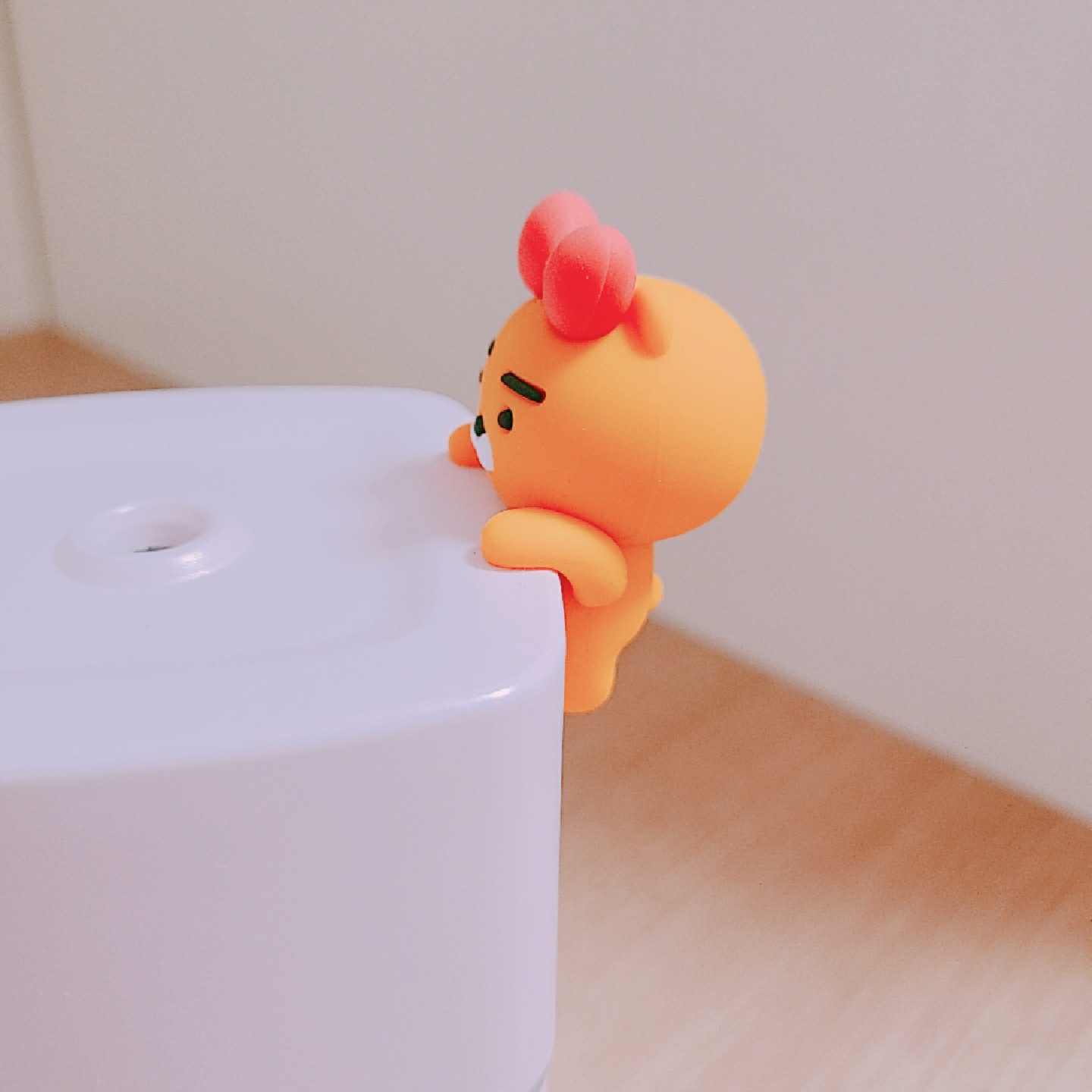 라이언 🎀