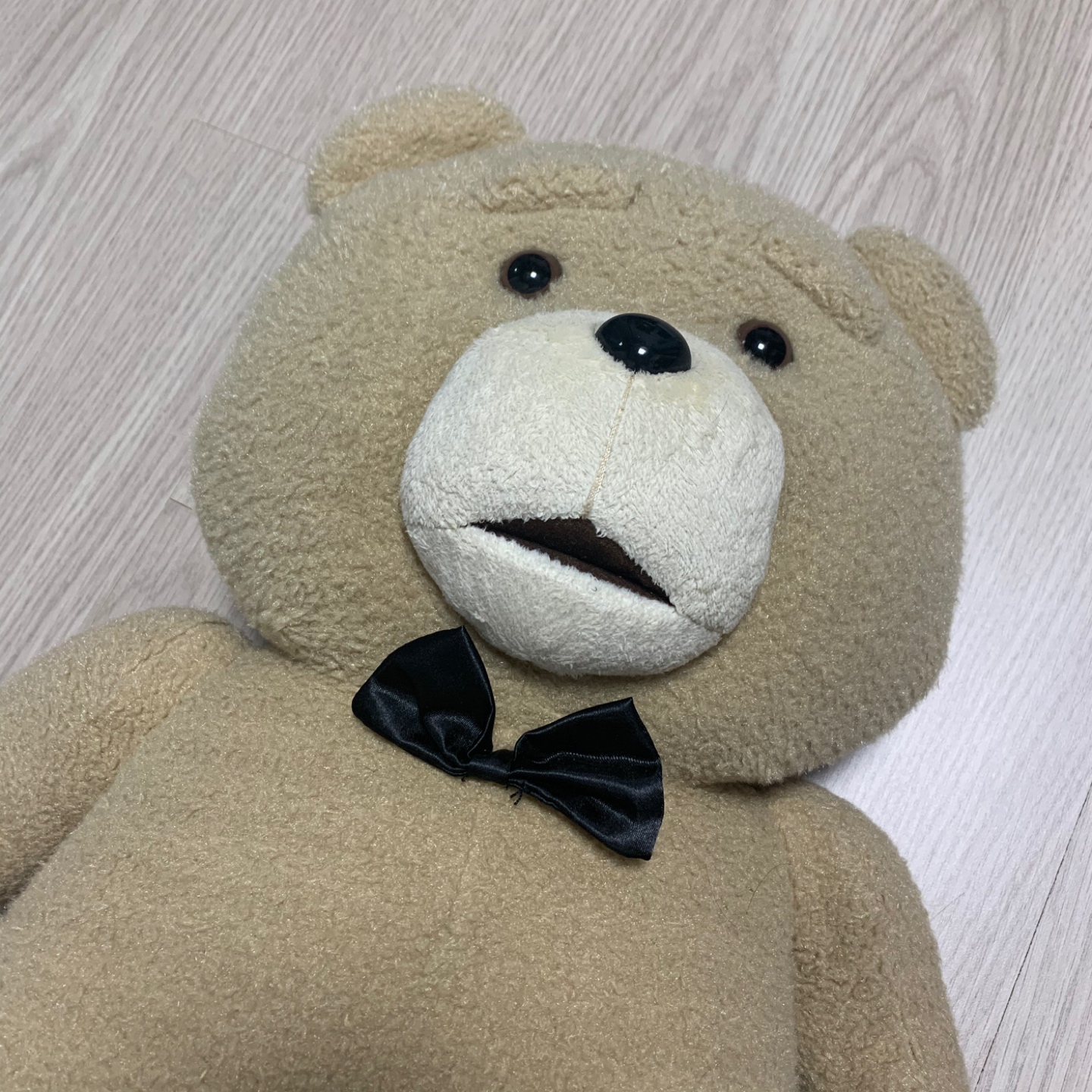 테드🧸