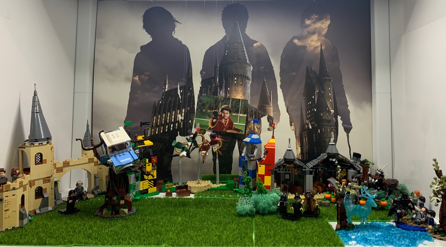 HARRY POTTER