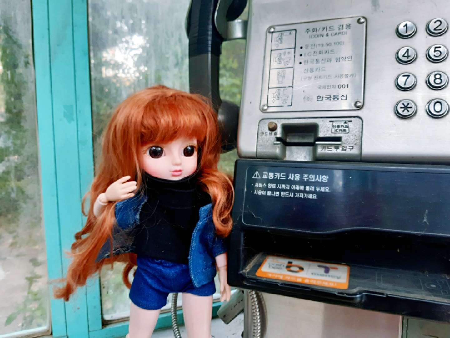 니니의 일상13