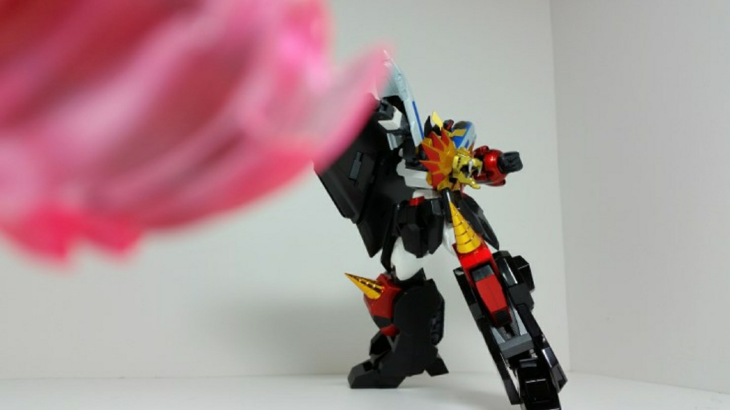 GAOGAIGAR