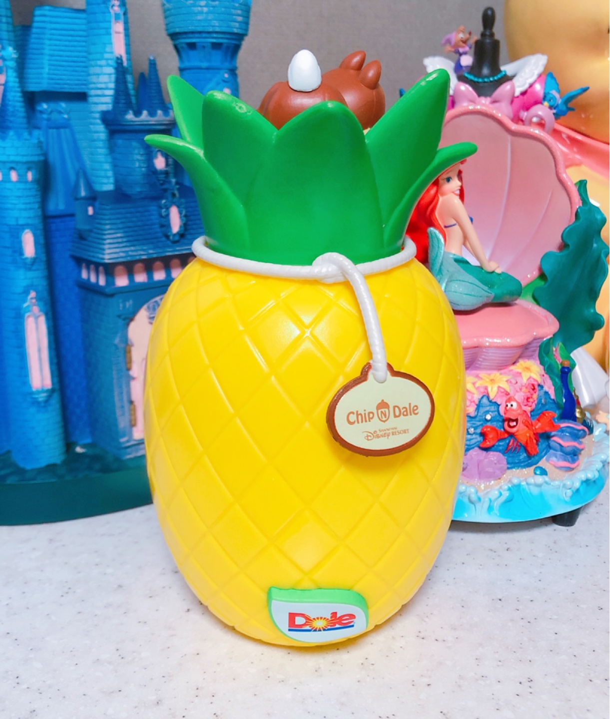 칩앤데일 파인애플 물통🍍