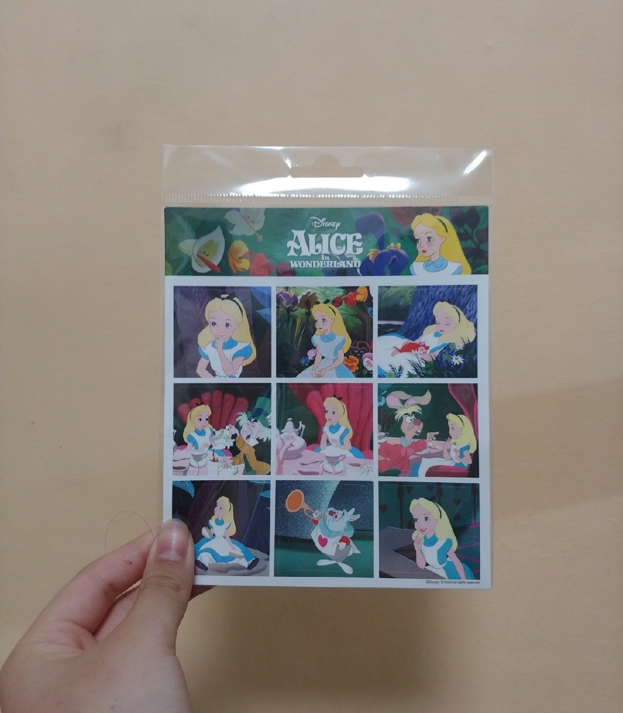 콜리가챠!💙