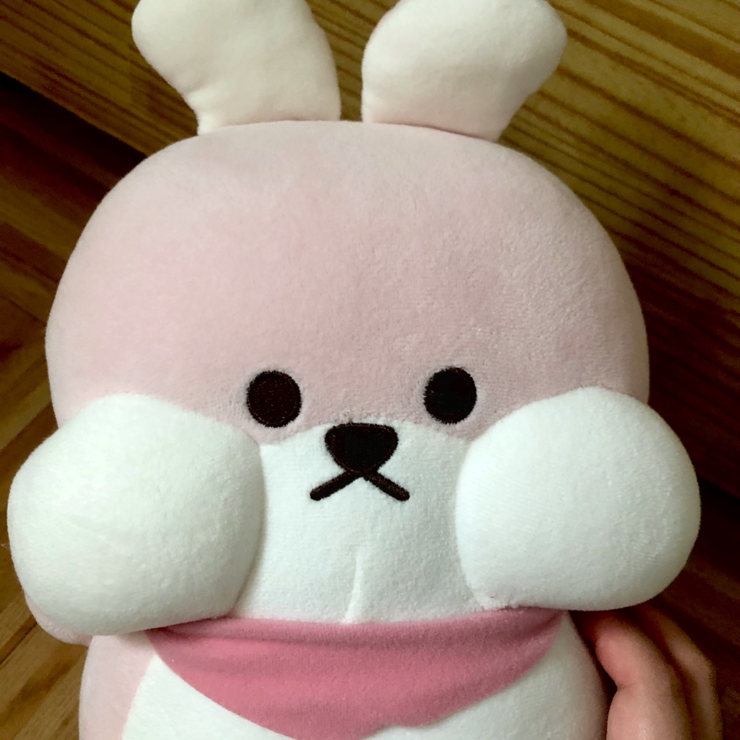 다이소템 차곡차곡 쌓는중😊