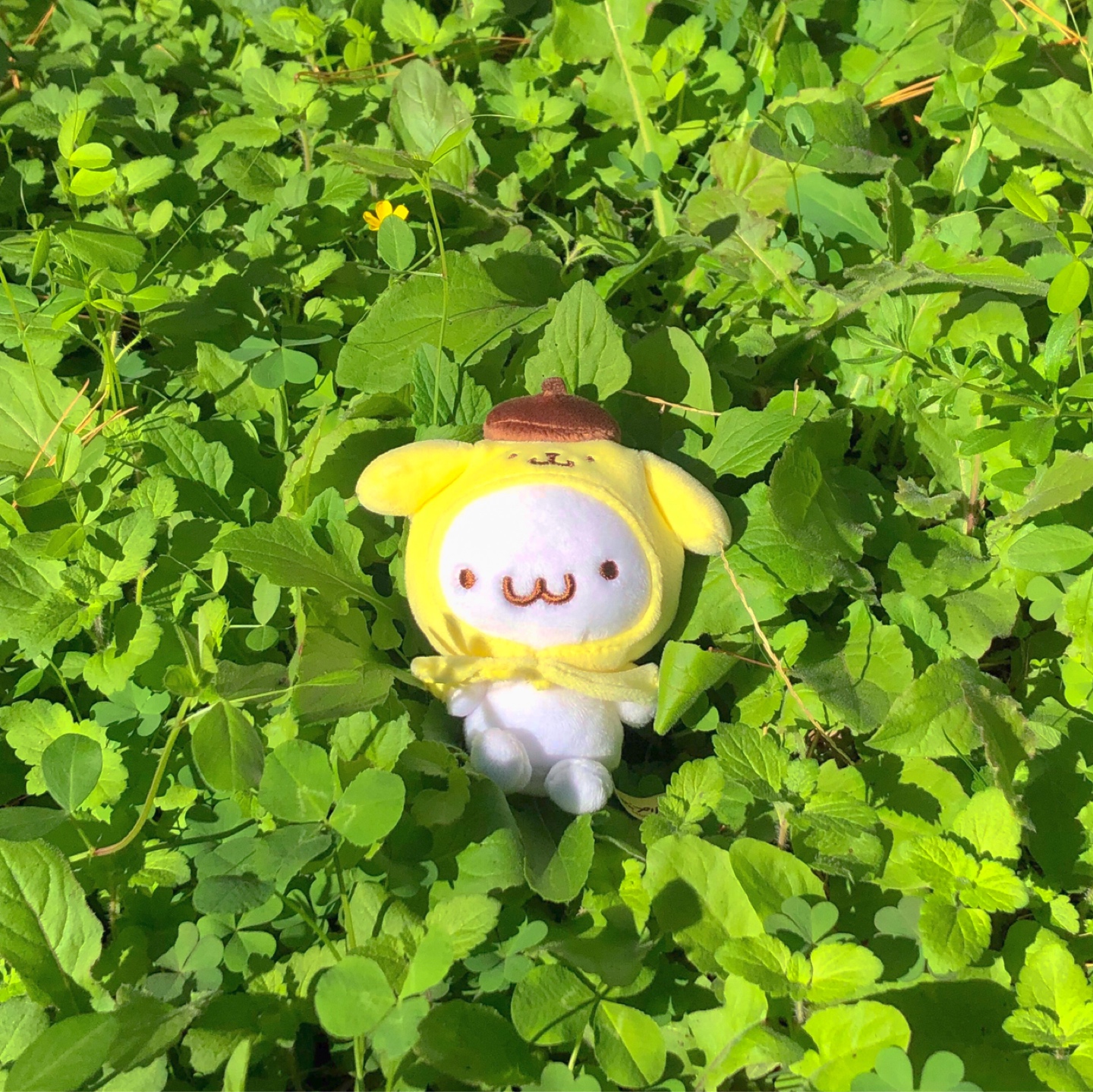 머핀 ✨