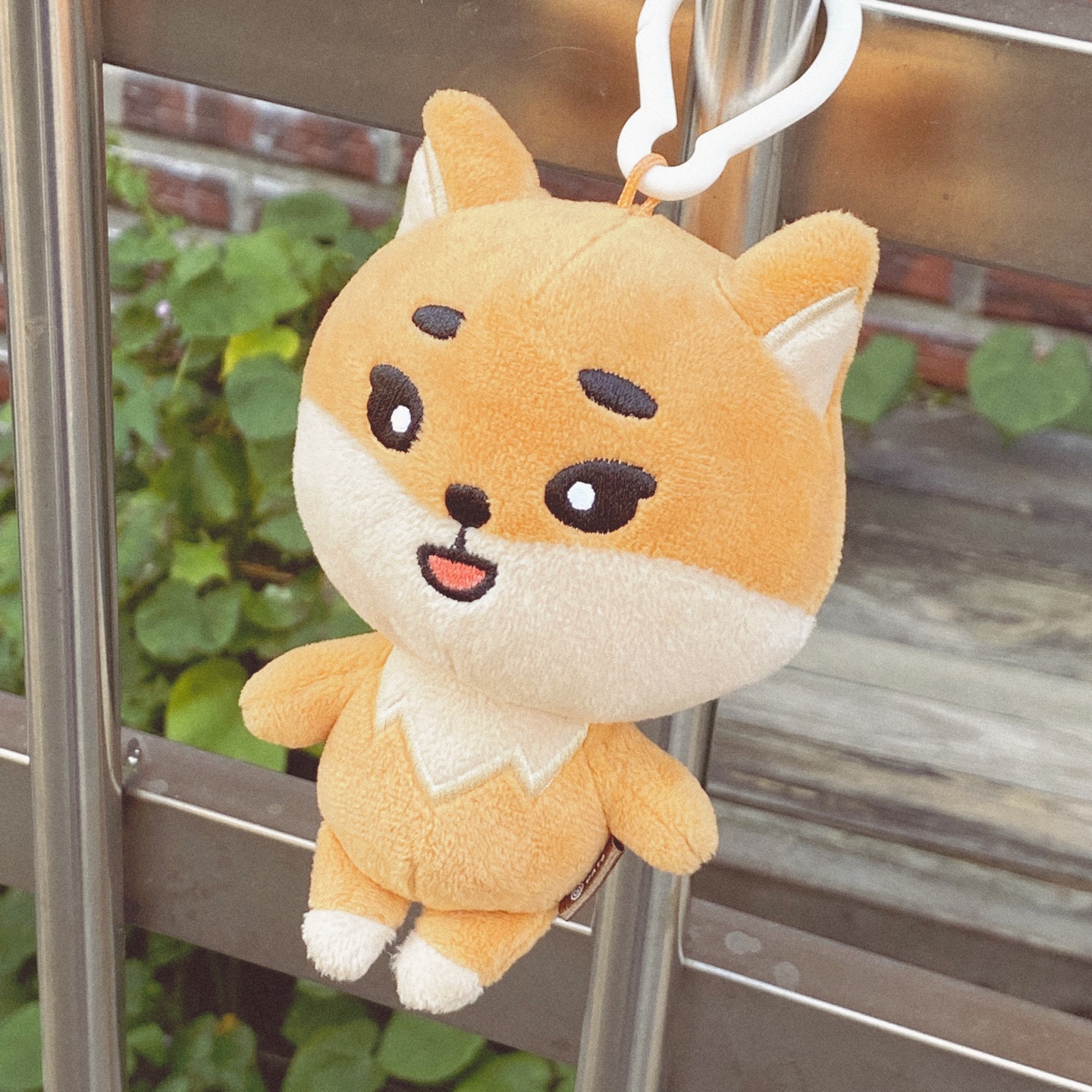 🦊 케리의 첫번째 가을 🦊