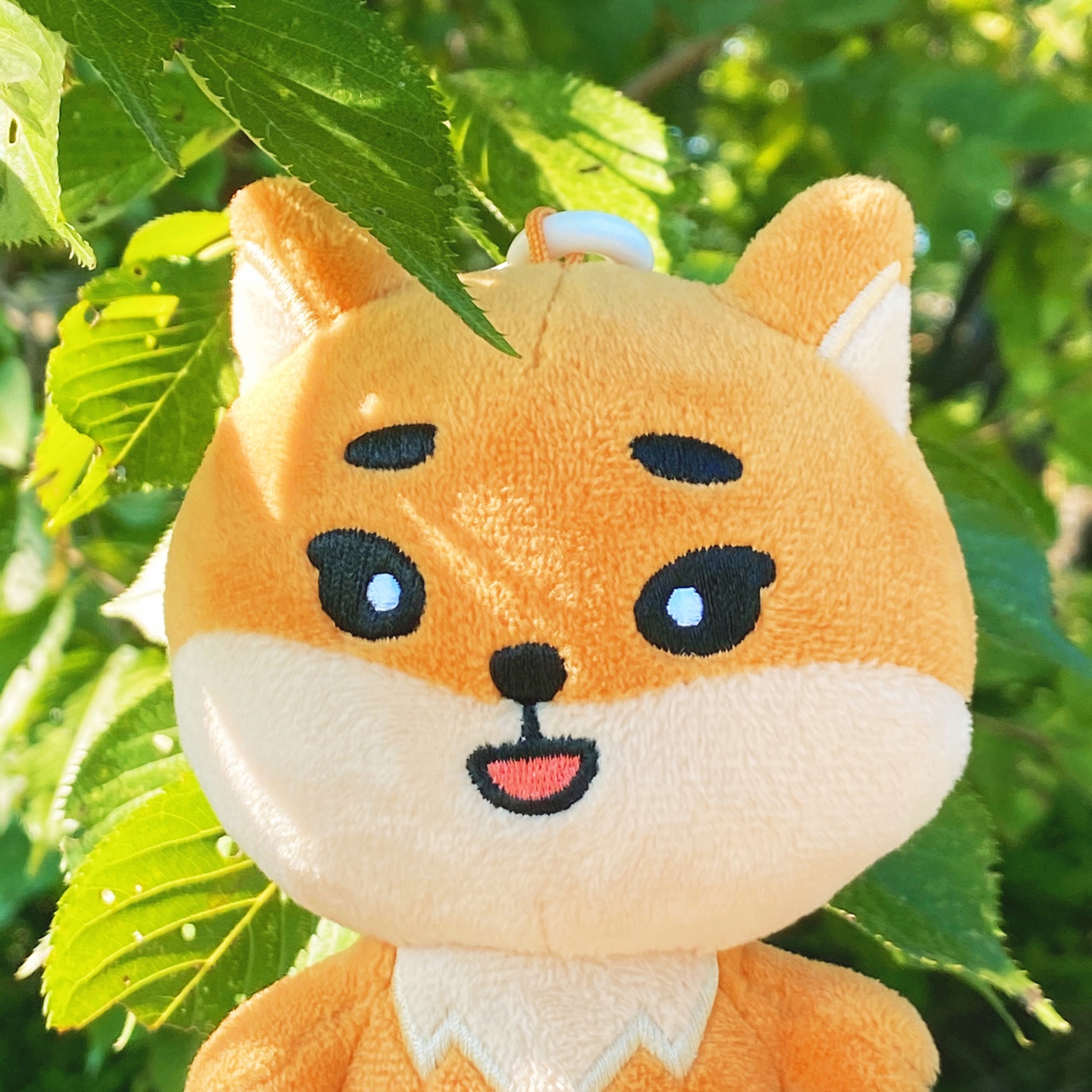 🦊 케리의 첫번째 가을 🦊