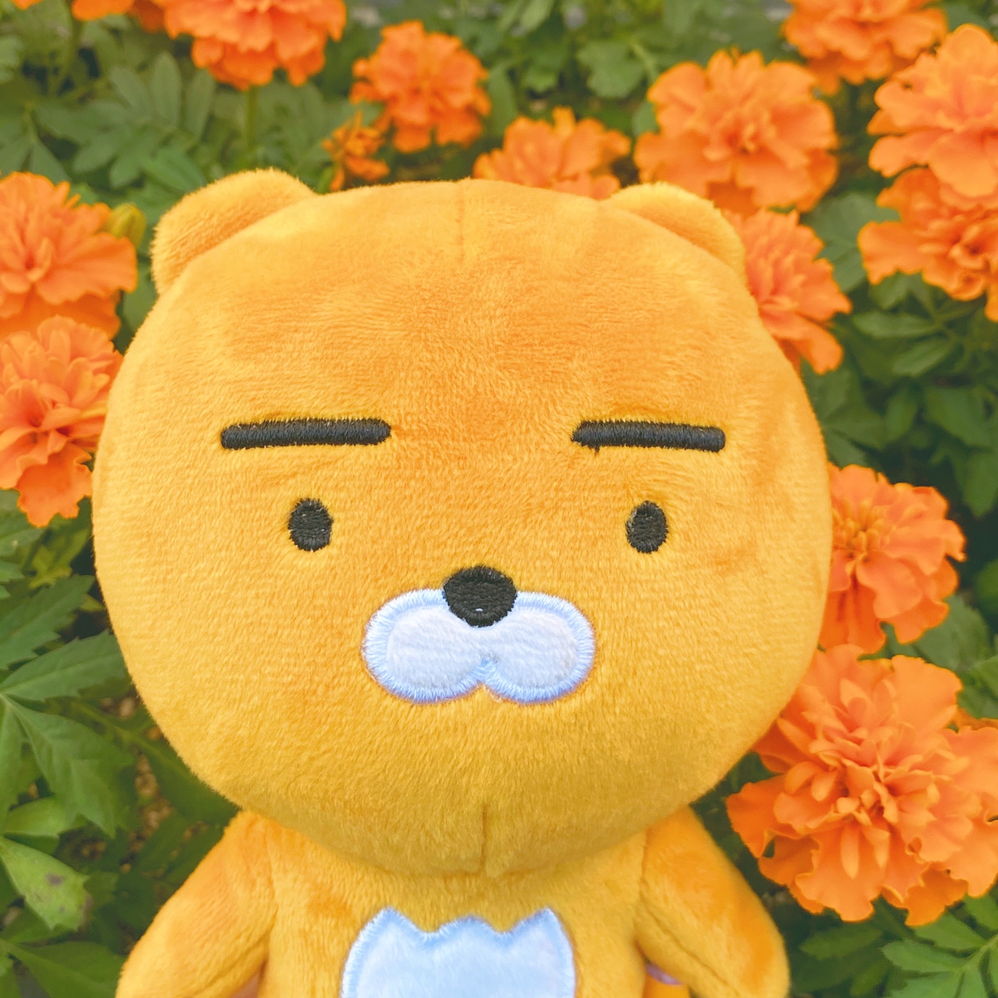 🦁 카카오프렌즈 라이언 🦁
