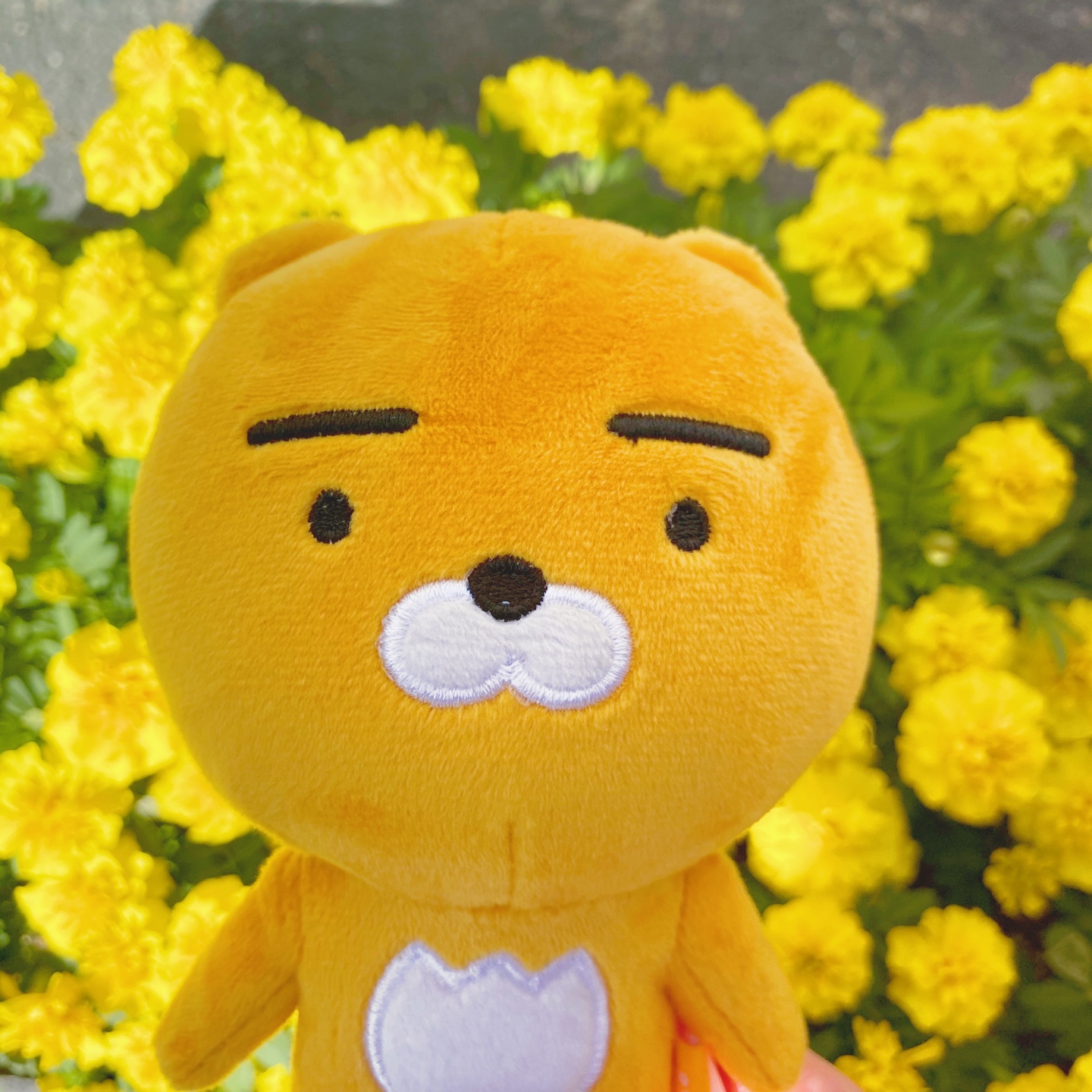 🦁 카카오프렌즈 라이언 🦁