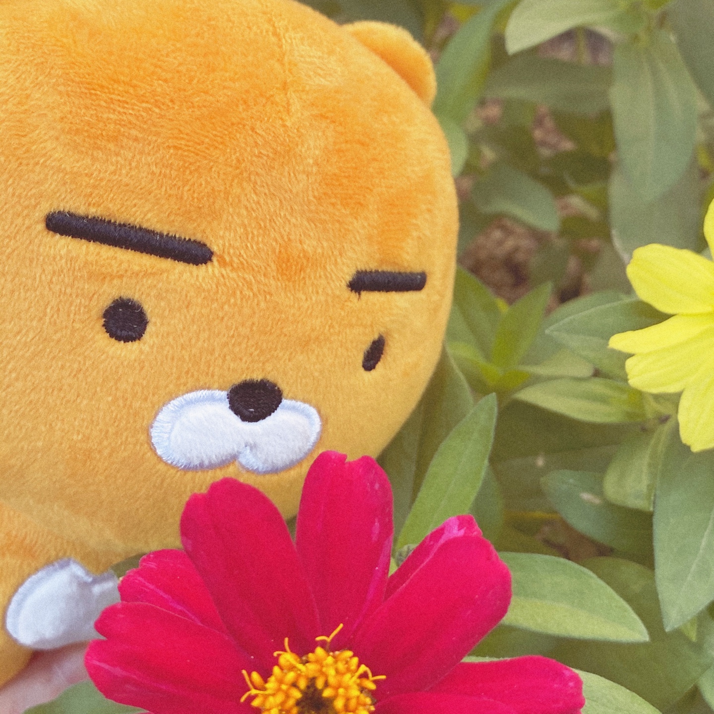 🦁 카카오프렌즈 라이언 🦁