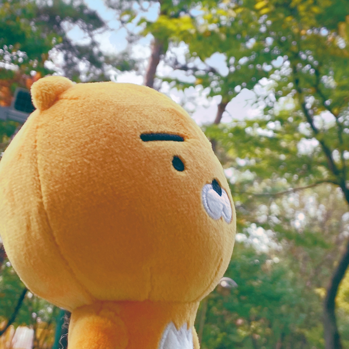 🦁 카카오프렌즈 라이언 🦁