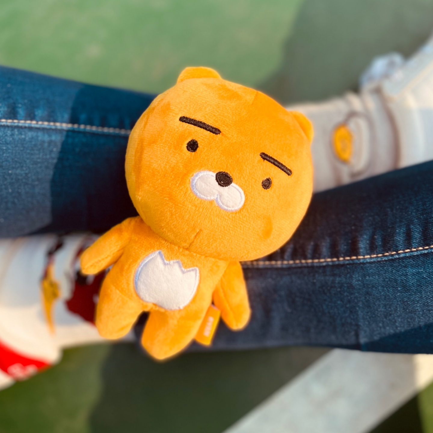 🦁 카카오프렌즈 라이언 🦁
